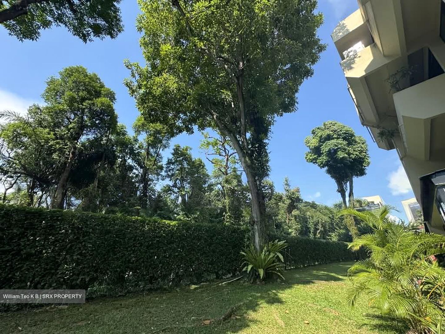 The Draycott (D10), Apartment #532478821